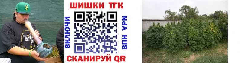 купить закладку  блэк спрут как войти  Канабис планчик  Омск 